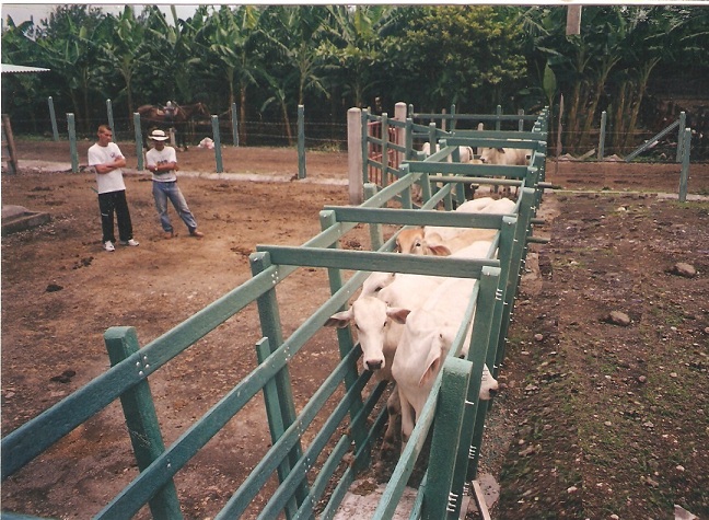 corral de madera plástica calceta manga maderplast brete para ganado corrales embudos calcetas embudo calceta bretes brete apretadero instalaciones mangas wpc (7) corral de madera plástica calceta manga maderplast brete para ganado corrales embudos calcetas embudo calceta bretes brete apretadero instalaciones mangas wpc (7)